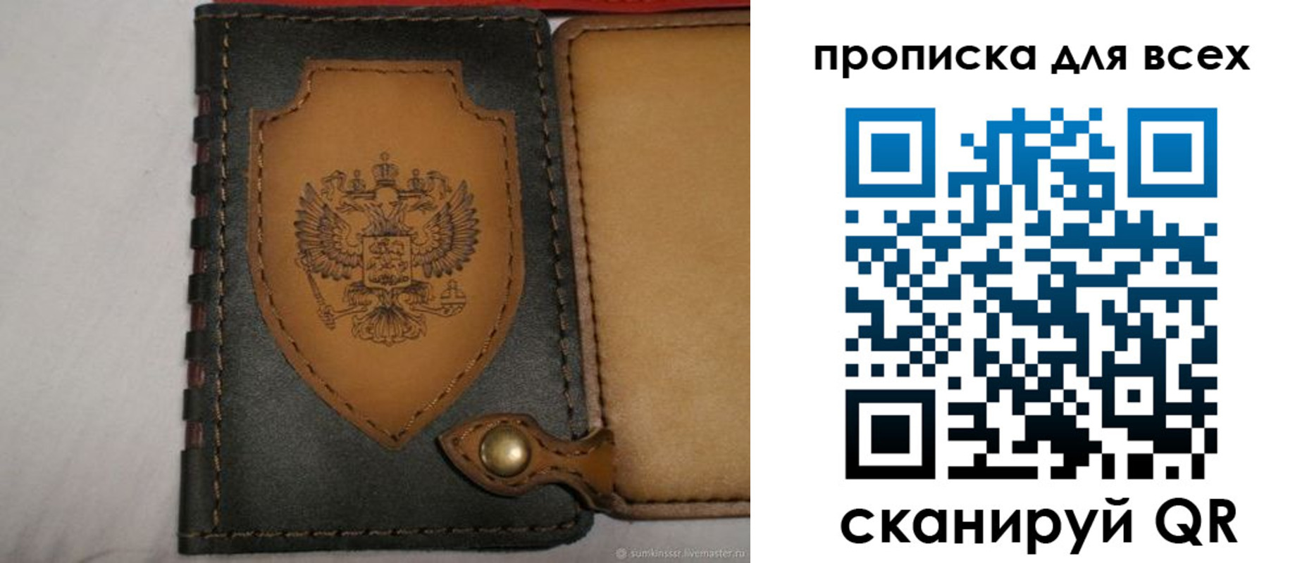 прописка для школы в Костромской области